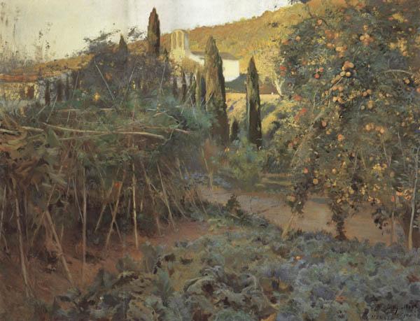 Joaquin Mir Trinxet The Hermitage Garden